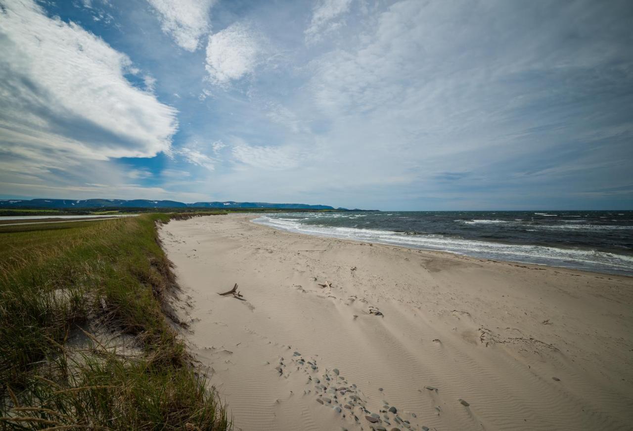 Codroy Valley Cottage Country Saint Andrews المظهر الخارجي الصورة